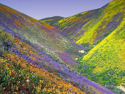 Kurdistan in the spring.jpg