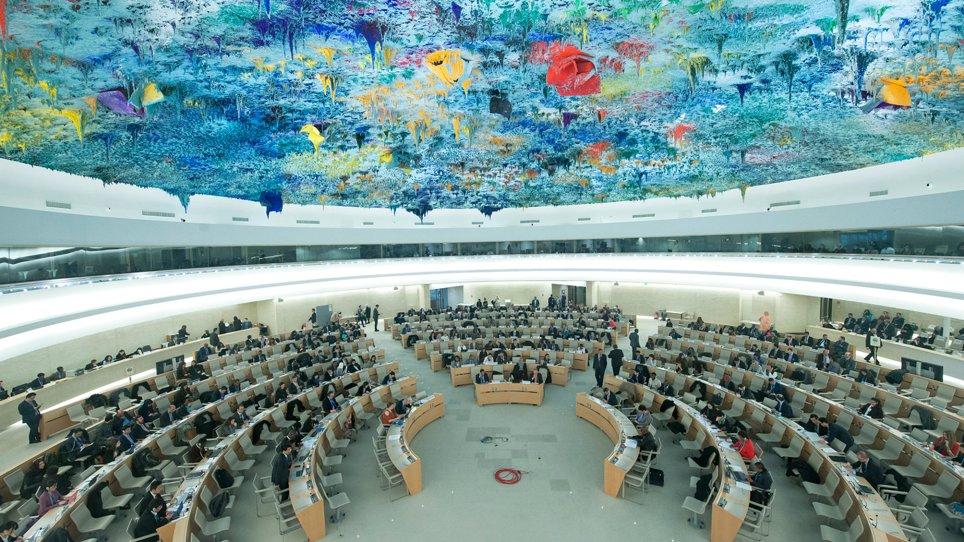 UN Human Rights Council