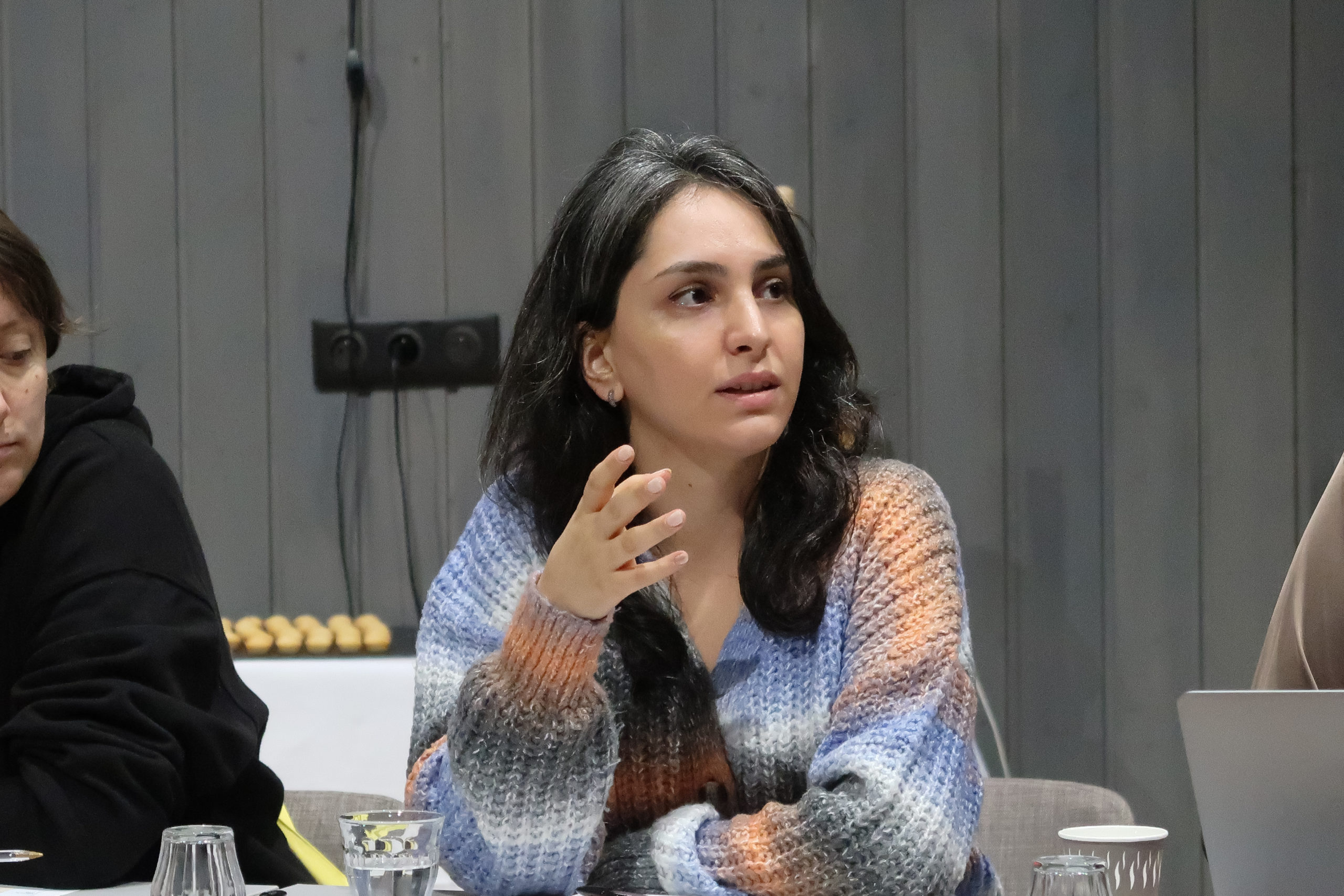 Ani Porchkhidze, Lawyer at Rights Georgia (Human Rights House Tbilisi) during the workshop in Strasbourg, September 2025.